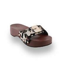 Scholl