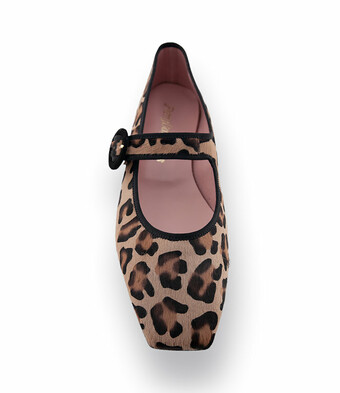 Pretty Ballerinas