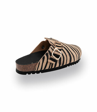 Scholl