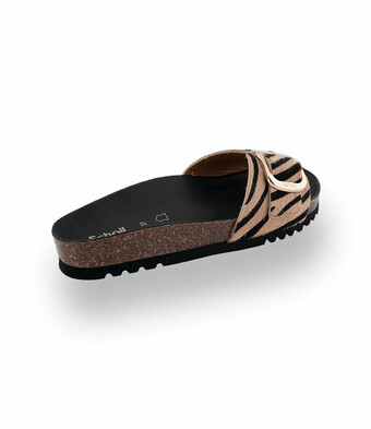 Scholl