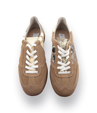 Caval