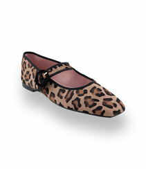 Pretty Ballerinas