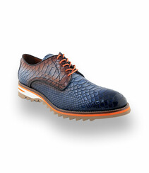 Lorenzishoes