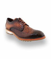 Lorenzishoes