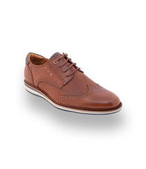 Pantofola d `Oro