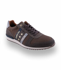 Pantofola d `Oro