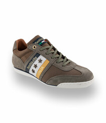Pantofola d `Oro