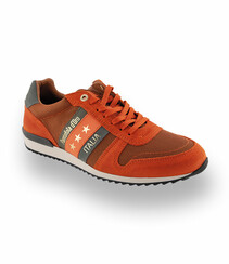 Pantofola d `Oro