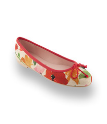Pretty Ballerinas