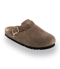 Scholl