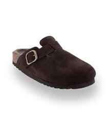 Scholl