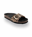 Scholl