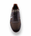 Pantofola d `Oro Vorschau
